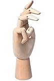 Art Mannequin Hand-realistic Wooden Sectioned Opposable Human Hand Figure - 7" - Drawing / Sketch / Art Supplies / Model - For Kids / Women / Men / Beginners / Advanced / Professional / Artist Manikins / Hand Figurine