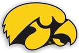 Iowa Hawkeyes 12 Car Magnet