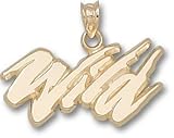 Minnesota Wild Charm/Pendant