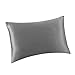 ALASKA BEAR - Natural Silk Pillowcase, Hypoallergenic, 19 Momme, 600 Thread Count 100 Percent Mulberry Silk, Standard Size with Hidden Zipper (1, Iron Grey)