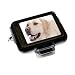 �Ρ��֥��� imaze sunporter for iPod [iPod nano����] nano��