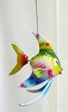 Cheeky Plastic Angelfish w/Spring