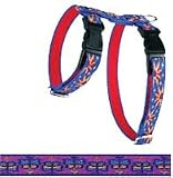 1/2 in. Lupine Adjustable Roman Style Harness - 12 in. to 20 in. - Flutterby