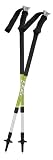 LEKI Trail Classic AirERGO Long AS Poles (Pair)