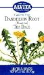 Dandelion Root Tea - 30 - Bag Dandelion Root Tea - 30 - Bag