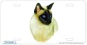 Siamese Cat Art Print - License Plate Tag By Robert J. May From Airstrike