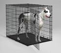 Midwest 1154U 54-By-35-By-45-Inch Single-Door Starter Series Pet Crate