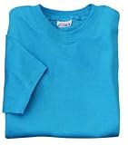 Hanes Beefy-T - Born To Be Worn 100% Cotton T-ShirtTeal-S