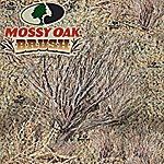 Stampede Camo Bug Deflectors - Mossy Oak Brush, 1996 - 2006 Jeep WRANGLER