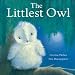 Littlest Owl