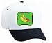 White Cap with sponsa, tapestries, duck, aix, bird, animal