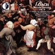 Bach - Secular Cantatas, Volume 2