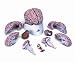 Brain Model with Arteries, 9 part
