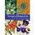 Treasures of Botanical Art: Icons from the Shirley Sherwood and Kew Collections (Royal Botanic Garden)
