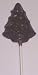Gourmet Food : Scott's Cakes Small Christmas Tree Dark Chocolate Pop