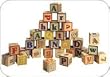 50 Pc ABC Alphabet Blocks 45 mm