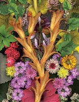 Floral Solstice Jigsaw Puzzle 1000pc