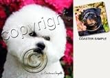 NEW! Neoprene Bichon Frise Coasters Set of 4 by Barbara Augello