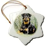 Dogs Rottweiler - Rottweiler - Ornaments