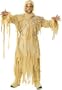 Mummy King Adult Costume (Standard)