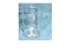 Glass Tumbler with Cut Flower & Leaf Stems Design