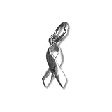Awareness Ribbon Sterling Silver Charm