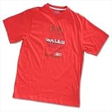 Senior Dragon Tee - Reebok WRU Red Large