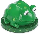 Boston Warehouse Frog Timer 37 318