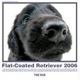 The Dog Flat-Coated Retriever 2006 Calendar (Artlist Collection)