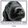 The Dog Flat-Coated Retriever 2006 Calendar (Artlist Collection)
