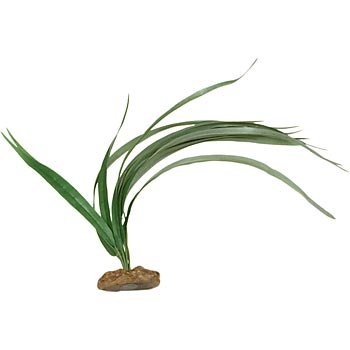 PETCO Silk Vallisernia Background Aquarium Plant