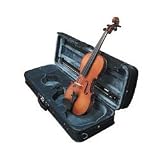 Carlo Robelli Young Master Full Size Violin Outfit