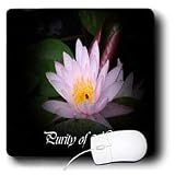 WhiteOak Photography Inspirational Floral Prints - Purity of Heart Inspirational water lily - Mouse Pads