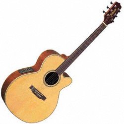 MusicalInstruments: EG540SSC Acoustic Electric Guitar