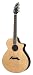 Breedlove Performance Series Focus Jumbo - 12 string Acoustic Guitar, Made in U.S.A.