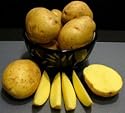 Yukon Gold Potato 2 pounds Certified Seed Tuber