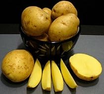 Yukon Gold Potato 2 pounds Certified Seed Tuber