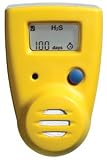 Carbon Monoxide Detectors: BW Technologies GA100-M, 100 Day Carbon Monoxide (CO) Detector