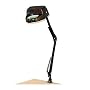 Grandrich ML-100 WHT Clip-On Magnifier Lamp