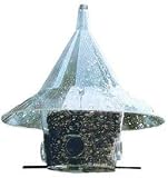 Bird Feeder, Mandarin