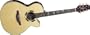 Takamine TSF48C Acoustic-Electric Guitar (Standard)
