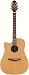 Musical Instruments : Takamine EAN10C-LH Dreadnought Cutaway Left-Handed Acoustic-Electric Guitar