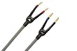 Monster Ultra Series THX 1000 Speaker Cable with Monster Tips 10 ft. pair Speaker Cable (ULT S1000MT-10/10)