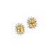 14K Yellow Gold 0.04 ct. Diamond and 6 x 4 MM Oval Shaped Citrine Earrings