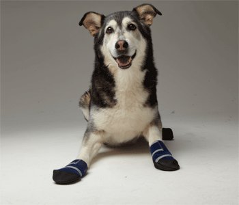 bandages for dogs Discount Large Medical Dog Booties