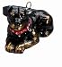   - Rottweiler