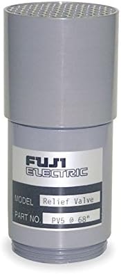 Fuji Electric Valve Pressure Relief