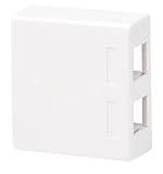 Leviton R02-41089-02W 2-Port Surface Mount Housing, White