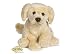 Webkinz Signature Cream Golden Retriever