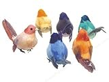 Accent Design Floral and Garden Accents Medium Bird Wren with Long Tail 3 Feather Assorted